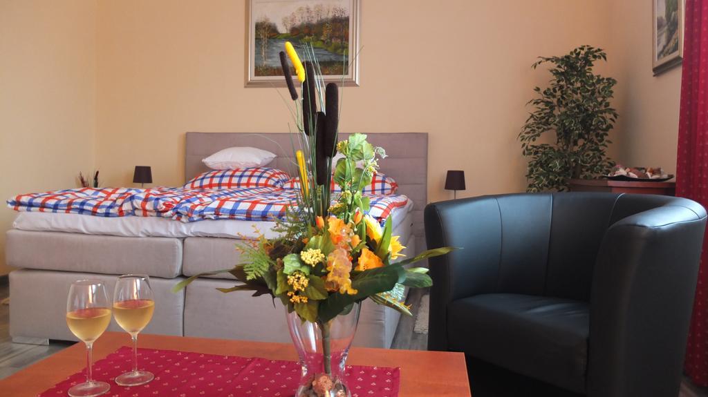 Country House Baranjski Tulipan Draž Pokoj fotografie